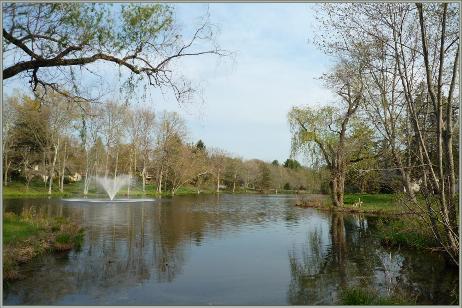 Pond1May10th14